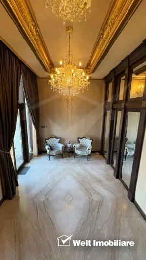 Vila superba in Andrei Muresanu, dotari de lux, piscina si SPA, 865 mp teren ! - imagine 3