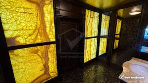 Vila superba in Andrei Muresanu, dotari de lux, piscina si SPA, 865 mp teren ! - imagine 19
