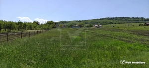 Teren intravilan –Vâlcele, zonă foarte bună spre Cluj-Napoca - imagine 2