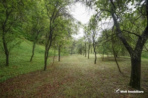 Casă 2010 + teren 4891 mp cu PĂDURE și PÂRÂU | 15 km Cluj | Gaz+Apă+Curent+Canal - imagine 2