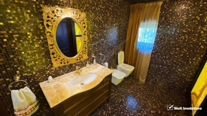 Vila superba in Andrei Muresanu, dotari de lux, piscina si SPA, 865 mp teren ! - imagine 18