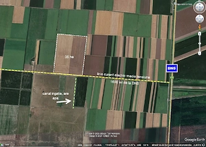 Daia (jud.Giurgiu) teren agricol 35 hectare compact - imagine 2