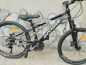 Bicicleta mountain bike pe 24 Germania 