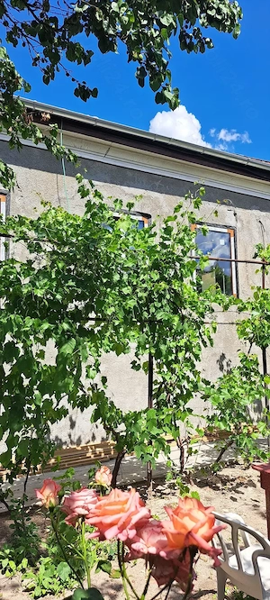 Vand casa ultracentral Parcul Brătianu  - imagine 7