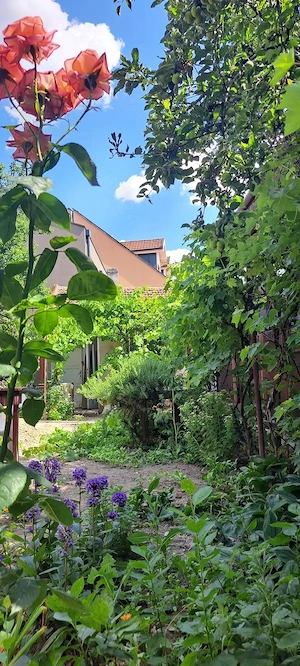 Vand casa ultracentral Parcul Brătianu  - imagine 8