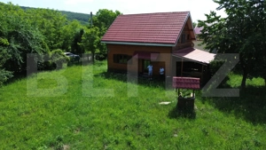 Cabană de vanzare, 100 mp, zona Ramet - imagine 13