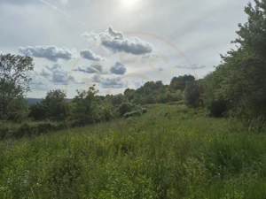 Teren Intravilan - Generos (2800 mp) - Zona superba foarte aproape de centru Cam