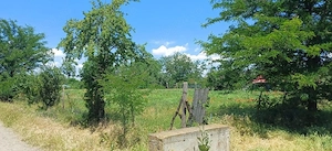 Teren intravilan de vânzare   1.800 mp   Fântâna Doamnei, județul Călărași  - imagine 3