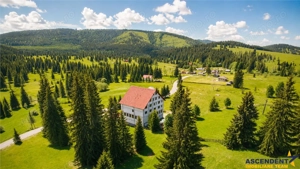 Complex montan 1.124 mp, Toplita Secu, investitie: turistica  retreat, cadru valoros - imagine 2