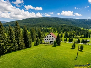 Complex montan 1.124 mp, Toplita Secu, investitie: turistica  retreat, cadru valoros - imagine 5