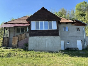 Casa de vanzare Județ Hunedoara 90 mp cu pământ 2650 mp - imagine 9