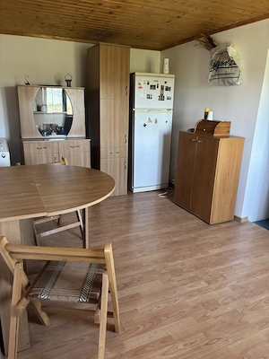 Casa de vanzare Județ Hunedoara 90 mp cu pământ 2650 mp - imagine 7