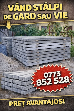 Stalpi din beton