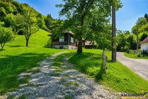 FILM! Proprietate autentica, Bran-Simon, 4.300 mp teren, casa traditionala + anexe - imagine 9