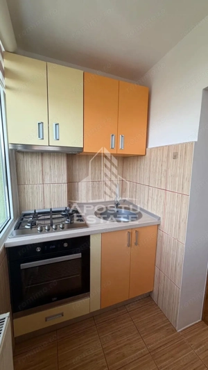 Apartament cu 2 camere de inchiriat, petfriendly, Girocului,Timisoara - imagine 8
