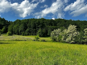 1000m2 Teren intravilan Cuejdiu Garcina,Neamț  - imagine 3