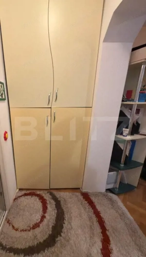 Apartament cu 2 camere, fara risc seismic, zona Nord - Nichita Stanescu - imagine 8