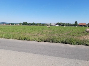 Teren intravilan,construibil, utilitati la drum asfaltat bine pozitionat central Lunca Calnicului