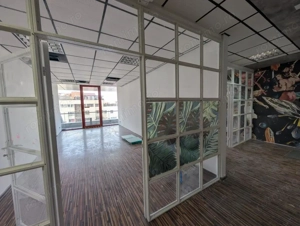 Spatiu birou 30 Avenue Bacau - imagine 7