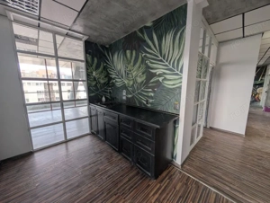 Spatiu birou 30 Avenue Bacau - imagine 3