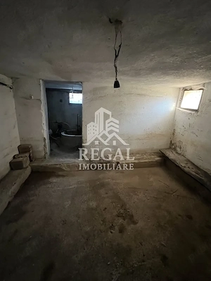 VAND casa in sat Bos - Ideal pentru locuinta sau afacere - imagine 7