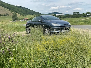 Peugeot 206 CC (cabriolet) 