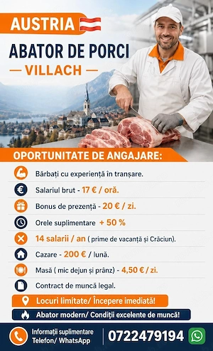 AUSTRIA  - Abator porc  - Villach  ! 