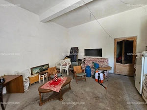 Ansamblu imobiliar P+3 (nefinalizat), P+2 și P, cu 10.000 mp intravilan, Timișoara, comision 0% - imagine 13