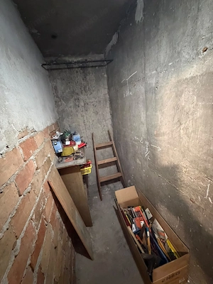  Apartament cu 3 camere + garaj Take Ionescu  Punctele Cardinale  - imagine 13