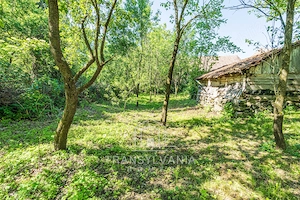 Casă la țară de vânzare în Livada, comuna Petreștii de Jos - imagine 16