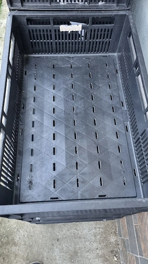 Lazi plastic