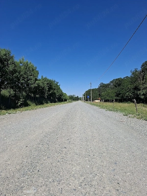 Teren intravilan langa padure la 10 min de Oradea - imagine 5