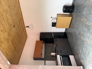 Rya Residence- cazare in Schitu  - imagine 3