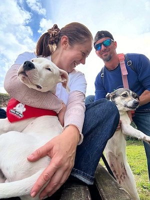 Pet sitter Oradea   Salonta   Sarkad x Ingrijitor Animale x Cazare Animale x Dresaj de Baza - imagine 3