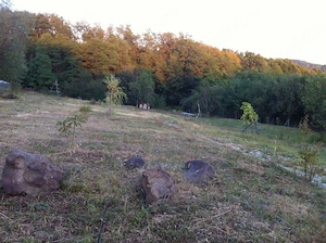 Vand teren in zona de deal-munte ,la 5 km de Manastirea Curtea de Arges,in com.Valea Iasului ,ARGES - imagine 2