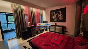 Vila 5 camere 264mp D+P+M Sinaia Platoul Izvor - imagine 11