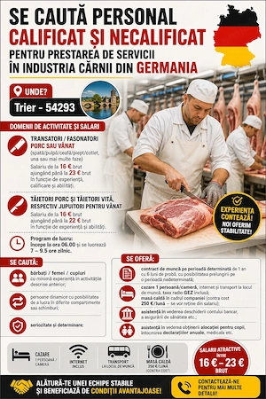 Transator Fasonator carne porc vita  sau vanat   Taietori vita sau porc cu minima experienta  - imagine 2