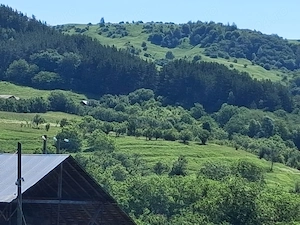  teren de vanzare    chiojdu, județul buzău  - imagine 6