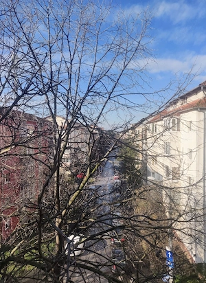 Proprietar vând apartament 2 camere, Lipovei - imagine 9