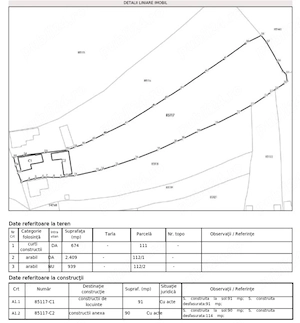 Casă cu teren 4022mp de vânzare în sat Dumbrava, com. Unirea, jud. Alba Preț 59.000 euro  - imagine 5