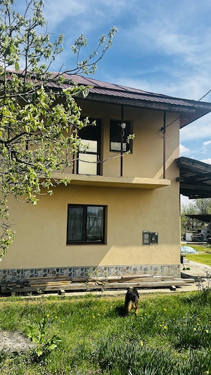 Casa P+1 cu 3576 m teren, TG-Jiu, Str Jiete, centrala termica, termopane, beci, fantana in curte - imagine 3