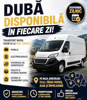    Transport local și județean cu dubă
