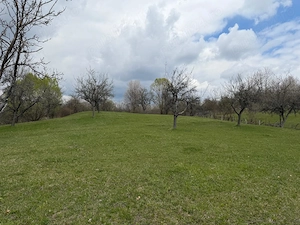 Teren extravilan de vanzare in Izvorul Rece, comuna Vaideeni, Jud Valcea - imagine 4