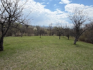 Teren extravilan de vanzare in Izvorul Rece, comuna Vaideeni, Jud Valcea - imagine 5