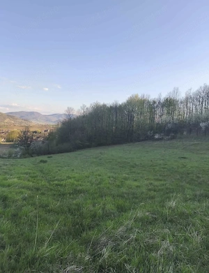 Teren extravilan cu padure proprie - imagine 3