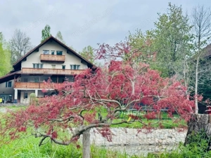 Casa de vanzare, 9 camere, 650 mp - Bran  - imagine 3