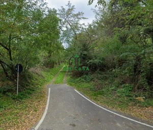 Teren 12.690 mp | 3.900 mp intravilan | Ocnele Mari- Slatioarele - imagine 5