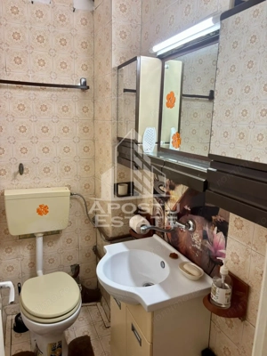 Apartament cu 3 camere , de inchiriat , zona Aradului , Timisoara - imagine 16