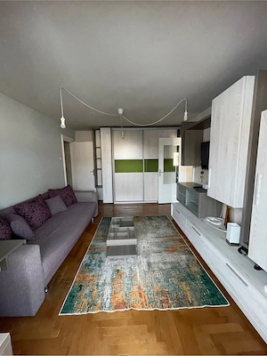 apartament 2 camere Sala Olimpia - imagine 5
