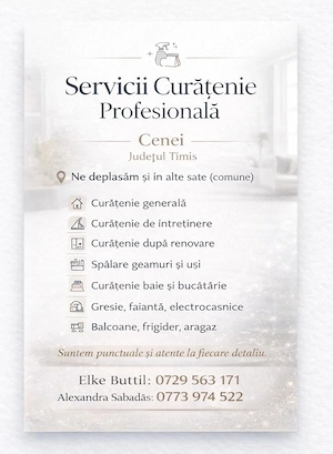 Curatenie Profesionala  Generala